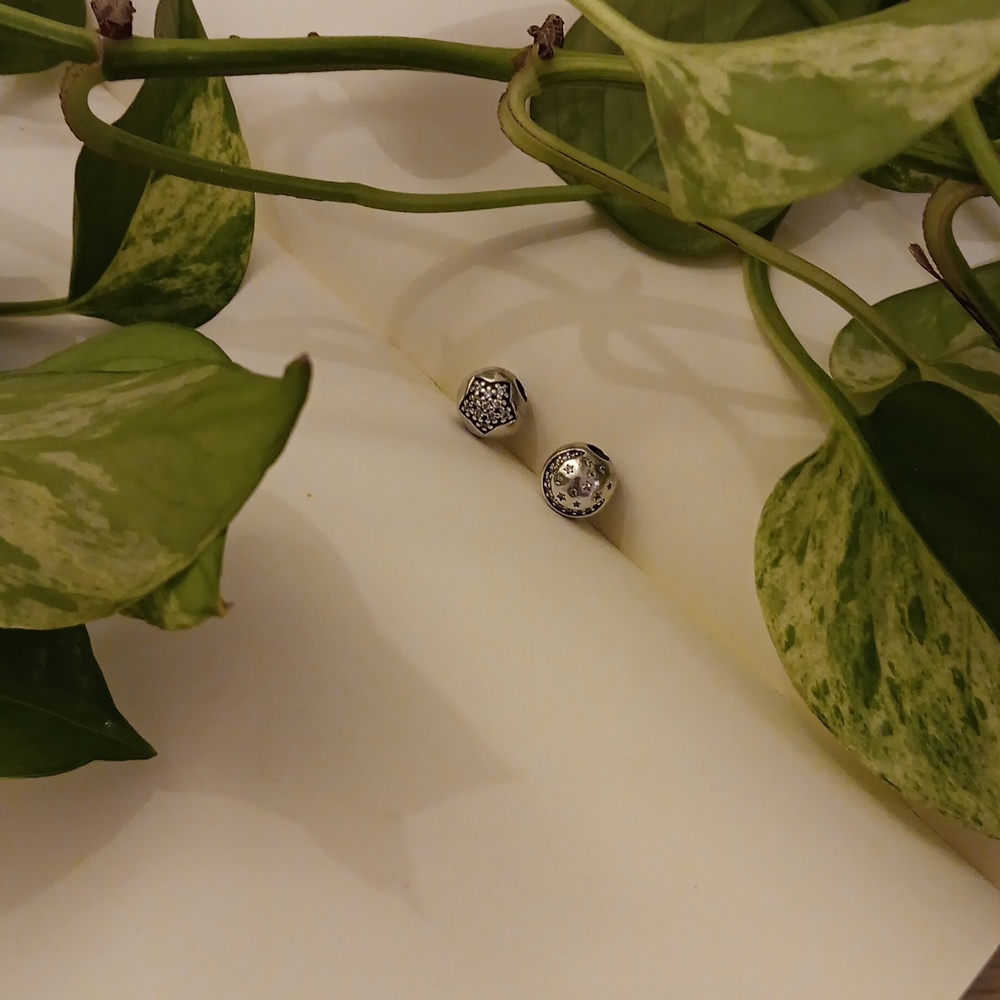 Pandora Clip Charms
